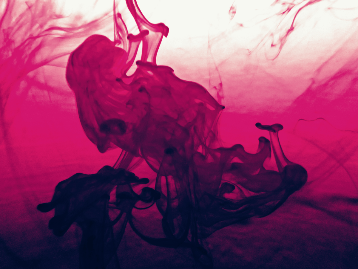 Why Small Moments Matter: New Scientist Highlights the Power of Micro-Mindfulness