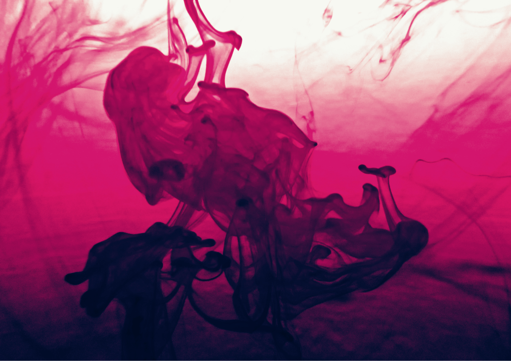 Why Small Moments Matter: New Scientist Highlights the Power of Micro-Mindfulness